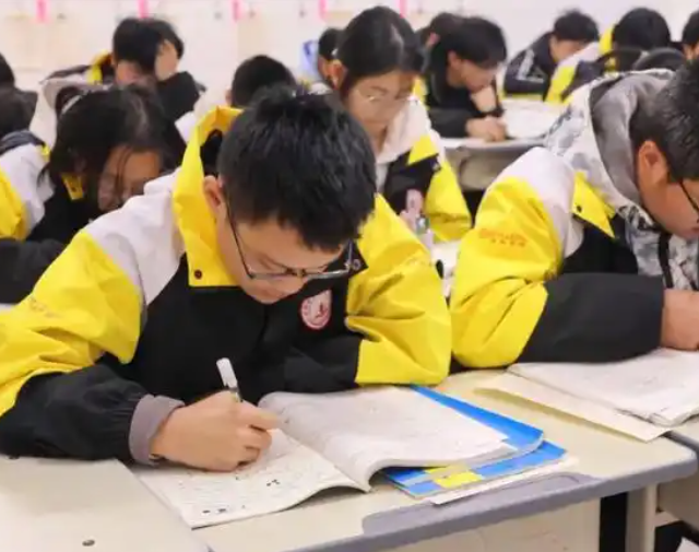 双减政策的落地由于这愈