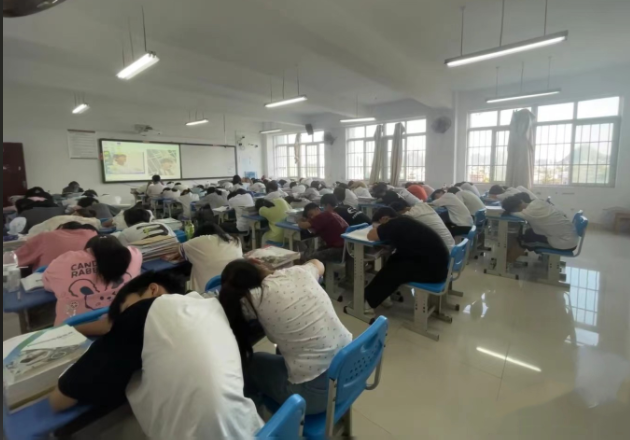 实际操作在内的多样化职