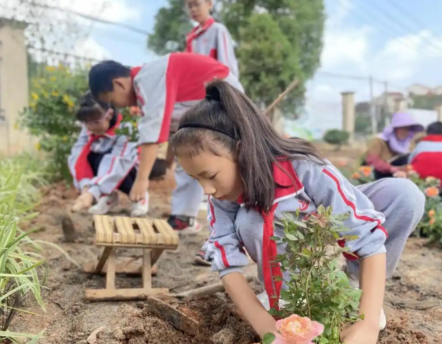 先行探究也有村庄校的量