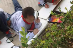 带着孩子在探索大自然的